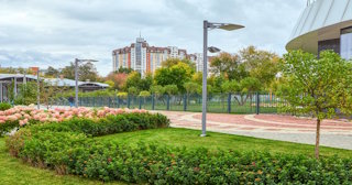 Профессиональное озеленение улиц в Советской Гавани в октябре