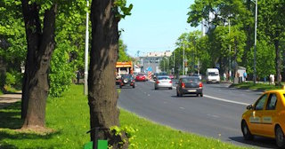 Посадка деревьев и кустарников в Советской Гавани — стоимость от 1247 руб.